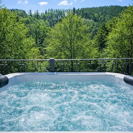 公寓 Am Eifelsteig Mit Whirlpool