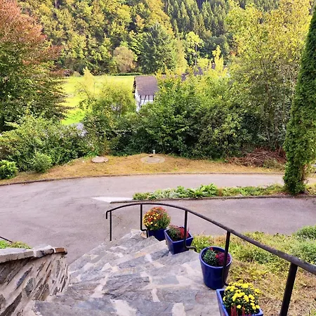 Am Eifelsteig Mit Whirlpool *